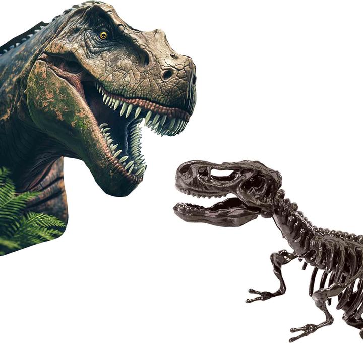Produktbild Ses Explore Dino and Skeleton Dig 2in1 – T-Rex