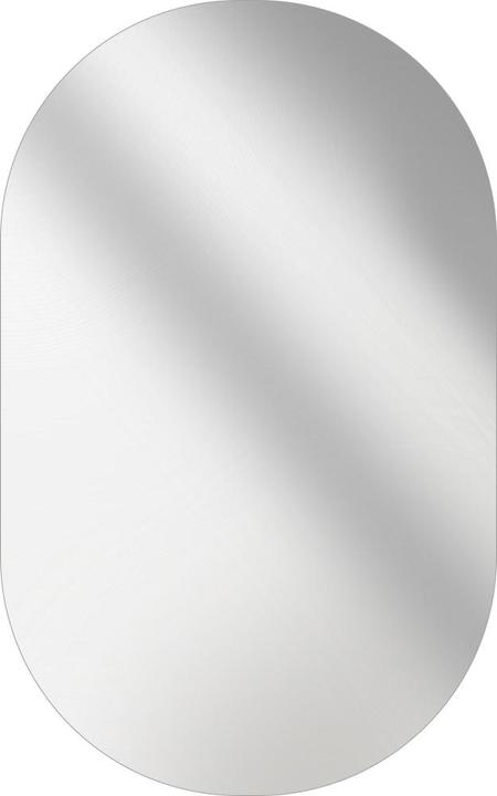 Emke Badspiegel Oval 40*70cm, HD Wandspiegel für Badezimmer/Flur, Vertikal/Horizontal