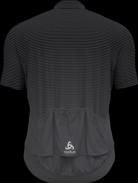 Image du produit Odlo Maillot à manches longues Zeroweight Chill-Tec Pro (S)