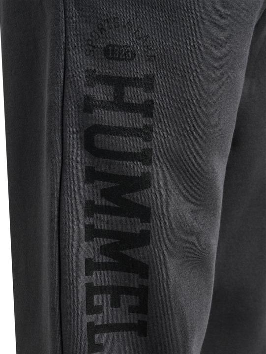 Produktbild hummel hmlALVIN PANTS (104)