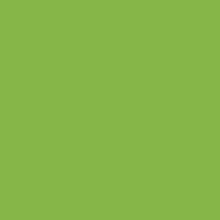Immagine prodotto Folia Cartone fotografico 300g/m², 50x70cm (300 g/m²)