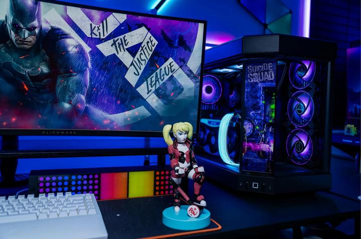 Actual product image Activision Cable Guy Suicide Squad : Harley Quinn 20 cm (Xbox One S, Mac, PC, Xbox Series X, Xbox 360, Switch, PS4, PS5)