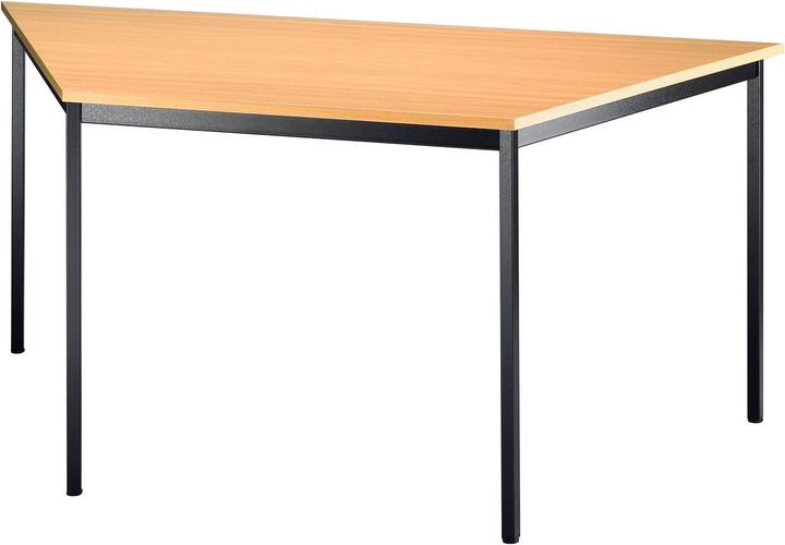 Image du produit Hammerbacher Série V (160 x 69 cm)