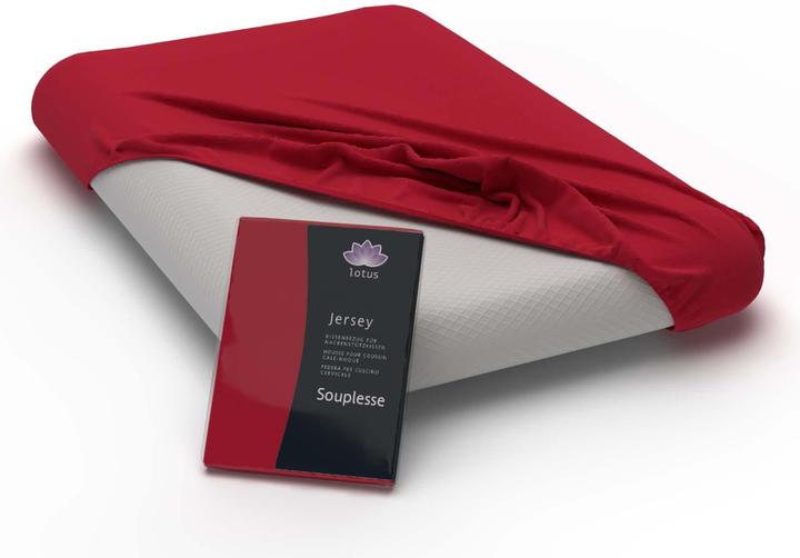Immagine prodotto Lotus Bettwaren Federa per cuscini ergonomici (Copricuscino, 50 x 30 cm)