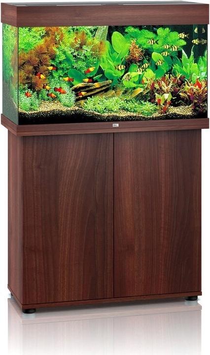 Actual product image Juwel Aquarium Rio (125 l)