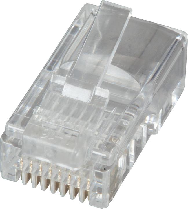 Produktbild EFB Elektronik Hersteller: RJ45 Stecker UTP, Cat.6, 100er VPE Bis 250 MHz (Cat.6) für LitzenUngeschi