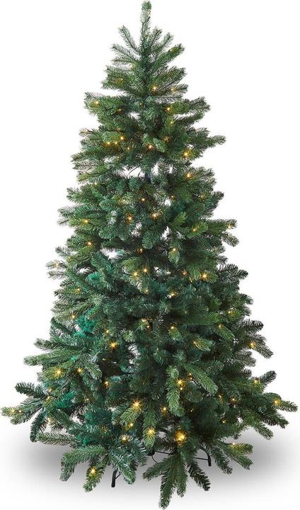 Loberon Weihnachtsbaum Helford (240 cm)