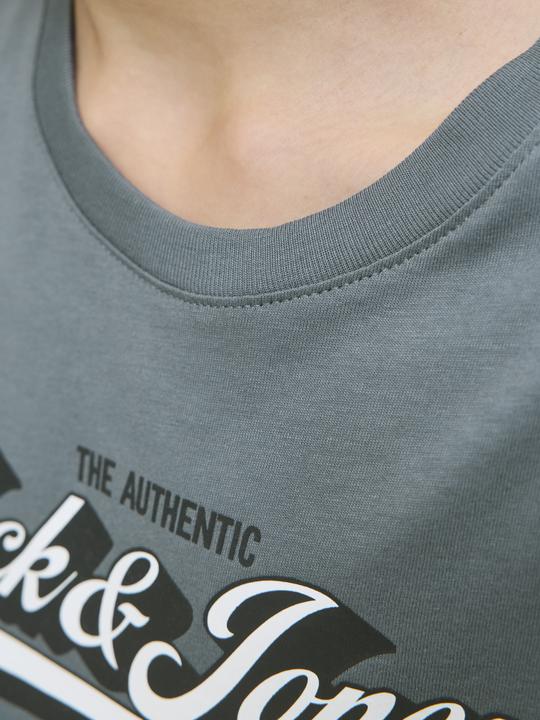 Actual product image Jack & Jones Jjelogo Tee Ss Oneck 2 Col Aw25 Noos Jnr (164)