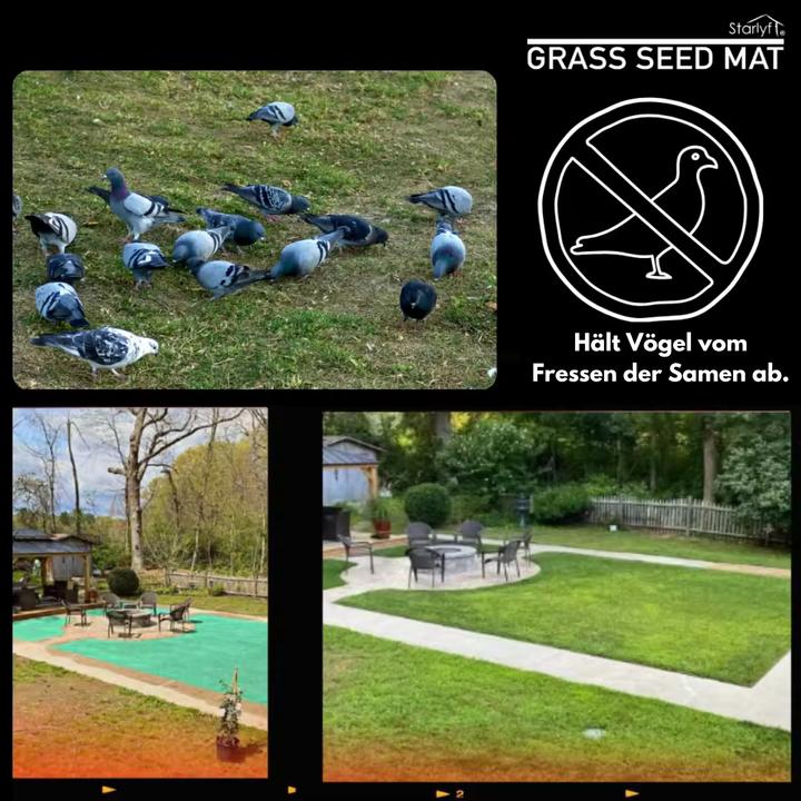 Produktbild Starlyf Grass Seed Mat (Pflanzensamen)