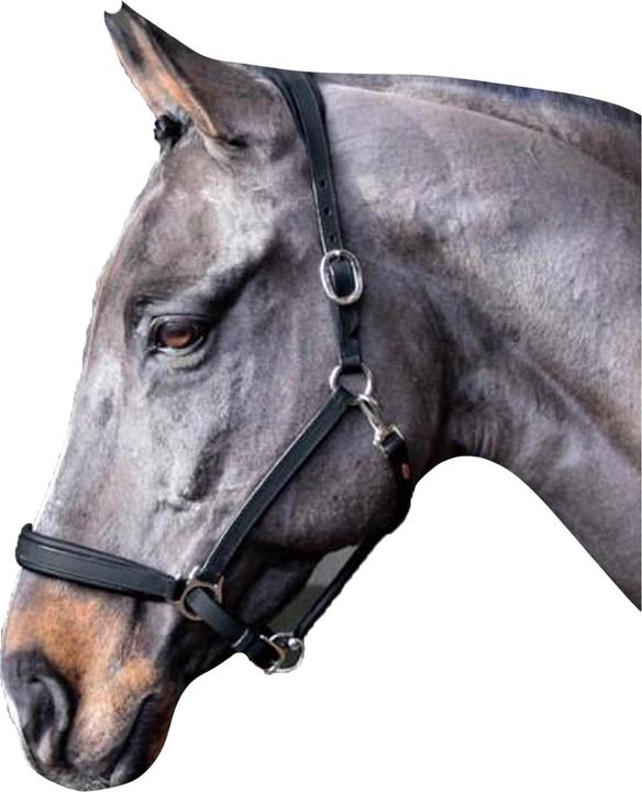 Immagine prodotto Cavezza per cavalli pronta da cavalcare in pelle