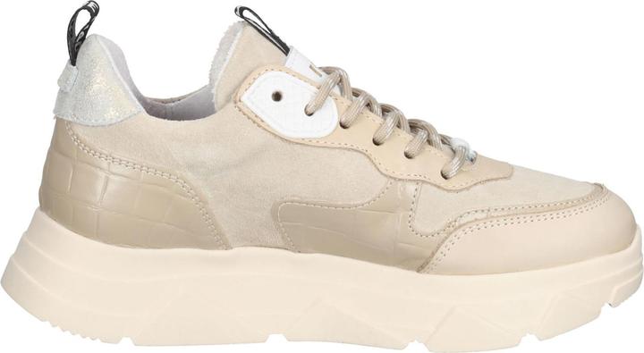 Image du produit Steve Madden Sneaker (41)