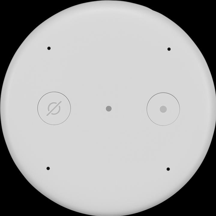 Produktbild Amazon Input (Amazon Alexa)