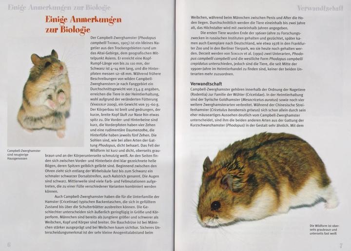 Produktbild Der Campbell-Zwerghamster (Deutsch, Stefan Kräh, 2014)