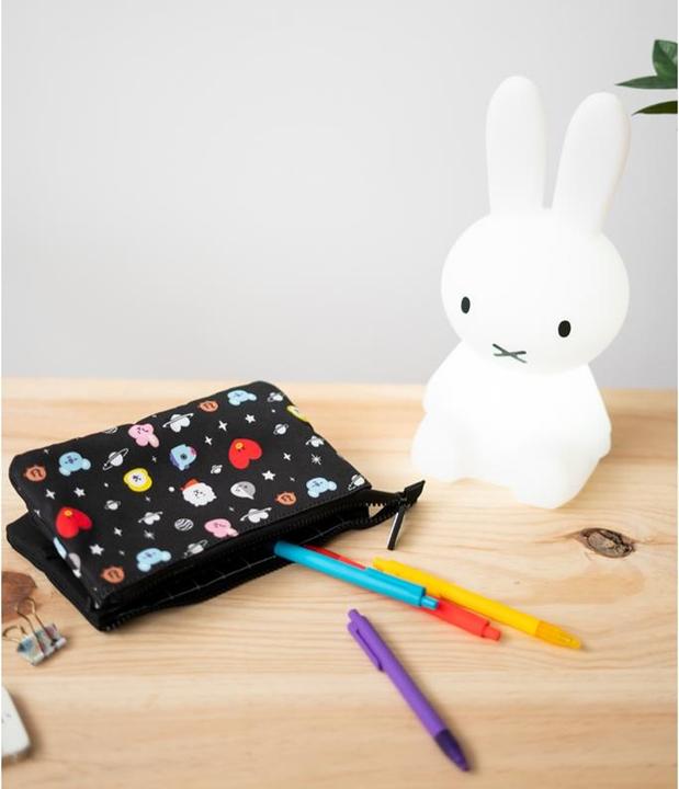 Actual product image Line Friends BT21 pencil case - Pencil case with compartments
