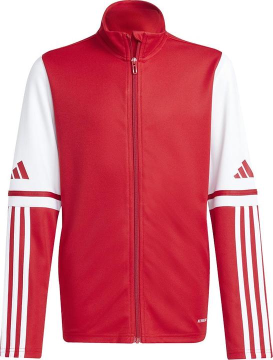 Actual product image adidas Squadra 25 Kids training jacket (164)