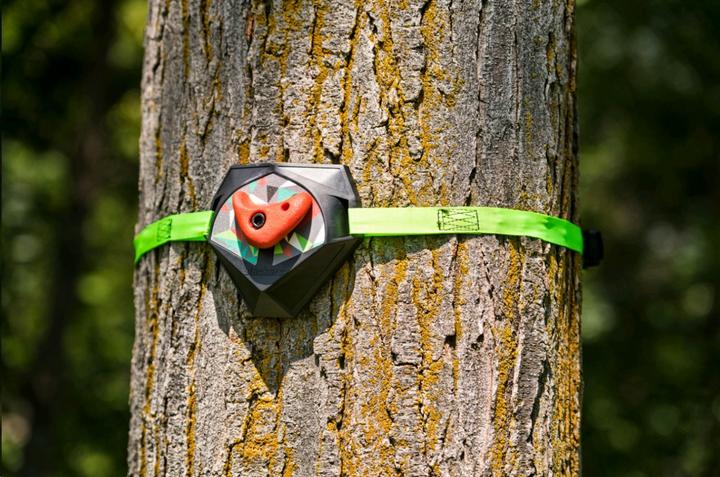 Productafbeelding Schildkröt Ninja Boomklimmers (2.20 m)
