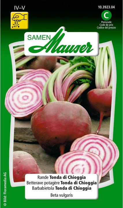 Samen Mauser Rande Tonda di Chioggia (Vegetable seeds)
