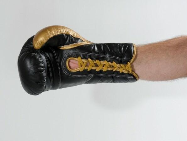 Actual product image Kwon Professional Boxing Leather boxing gloves with laces (10 OZ, 10)