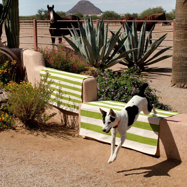Actual product image Dash & Albert Catamaran outdoor carpet (61 x 91 cm)