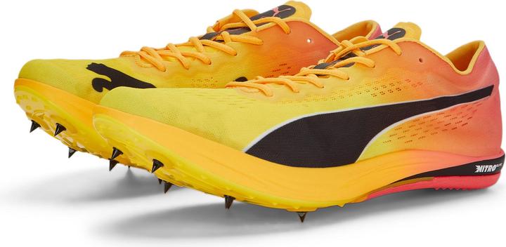 Produktbild Puma evoSPEED Long Distance Nitro Elite+ (45)