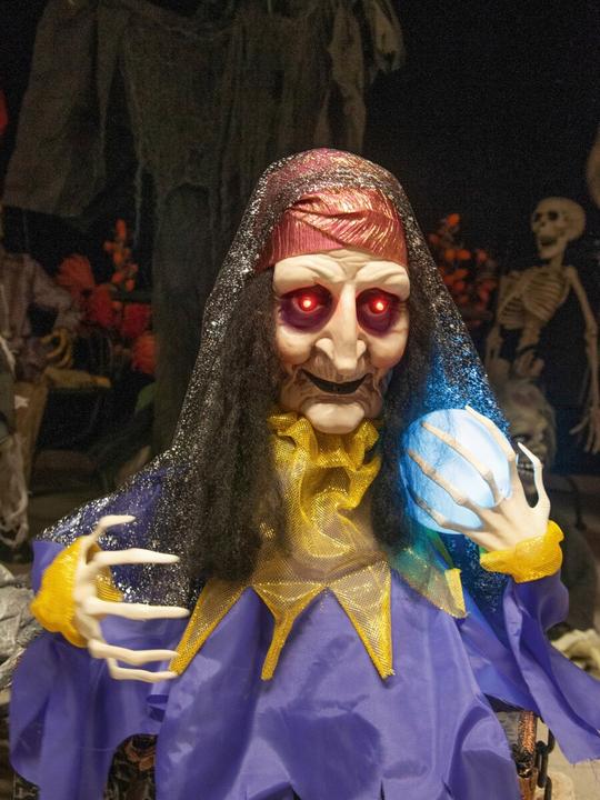 Produktbild Europalms Halloween Figur Wahrsagerin, animiert 50cm