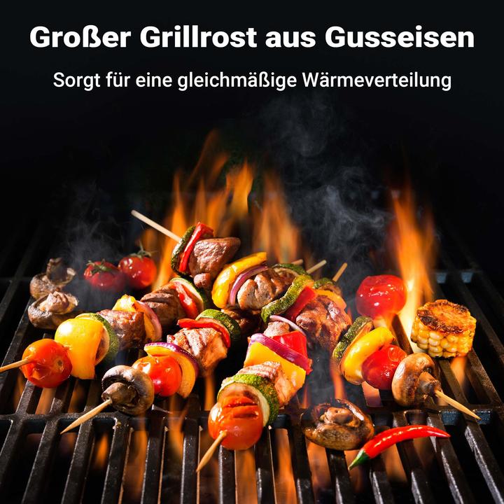 Produktbild Wiltec Gusseisen Grillrost 29x38cm Grillgitter Holzkohlegrill Gasgrill BBQ