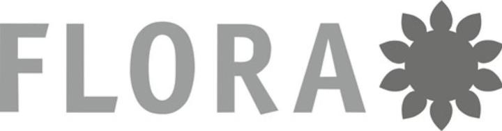 Actual product image Flora Fan broom