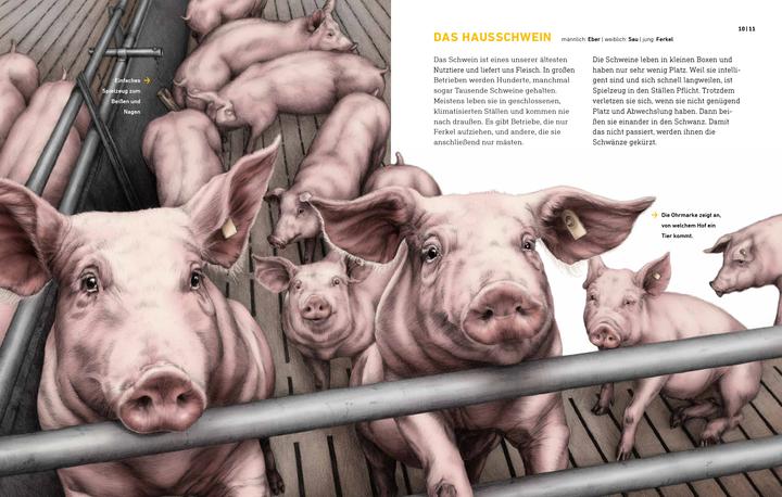 Image du produit Das wahre Leben der Bauernhoftiere (Allemand, Lena Zeise, 2020)