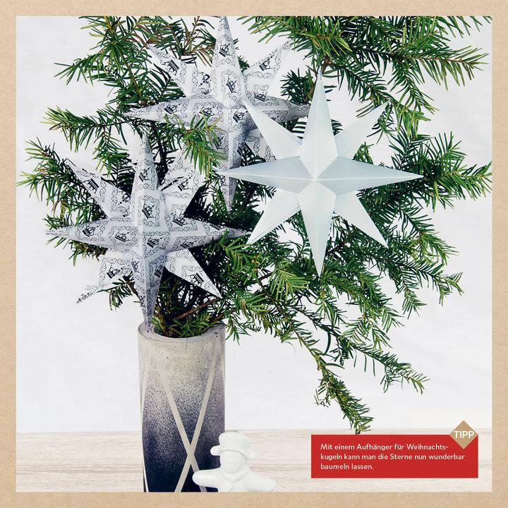 Produktbild Origamisterne? Gerne! – Natural Christmas – Weihnachtliches Bastelset zum Sofort-Lo (Deutsch, Ina Mielkau, 2021)