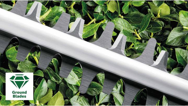 Produktbild Bosch Home & Garden Heckenschere AdvancedHedgeCut 65 (Netzbetrieb)