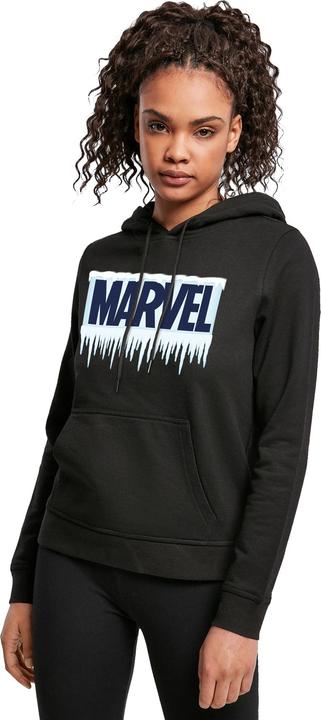 Produktbild Icicle Logo Kapuzenpullover (4XL)