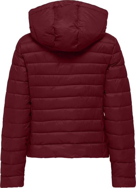 Actual product image Only ONLTAHIA Steppjacke Steppjacke (L)