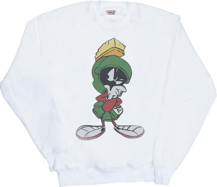 Looney Tunes Sweatshirt (L)
