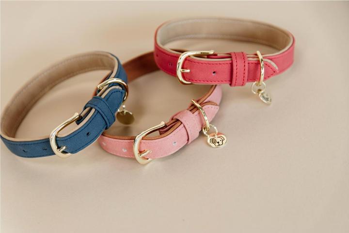 Produktbild Kentucky Dogwear Hunde Halsband Soft Vegan Leather (XS, Hund, Allgemein)
