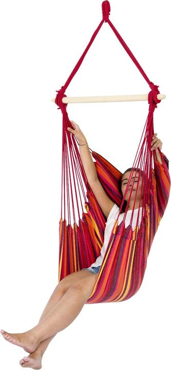 Immagine prodotto Amazonas Rilassati (120 kg)