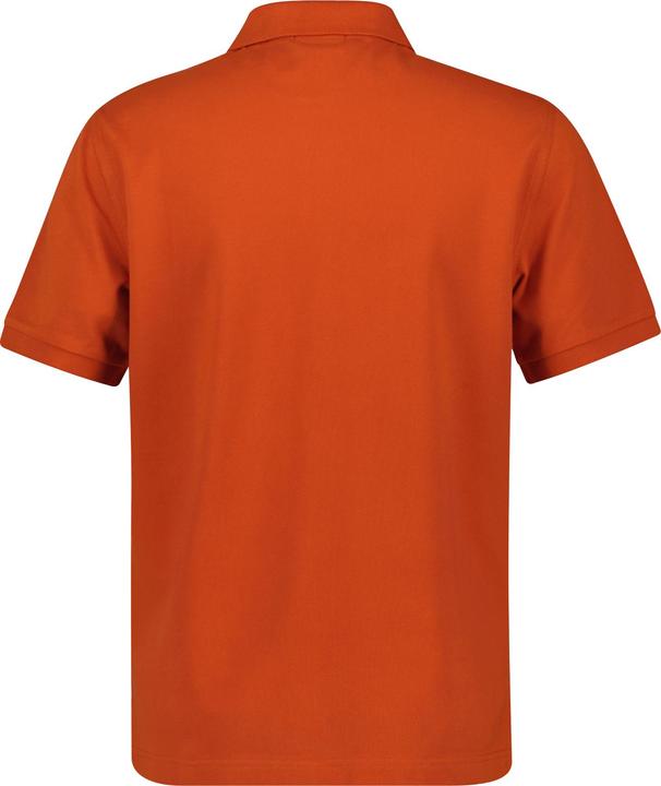 Actual product image GANT Shield (XL)