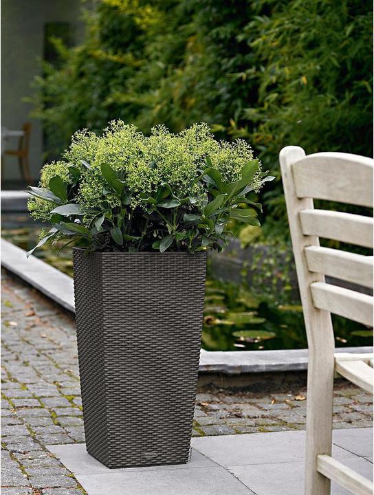Actual product image Lechuza Cubico Cottage (29.50 cm)