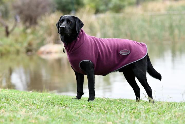 Produktbild Weatherbeeta Comfitec (65, Hundemantel)