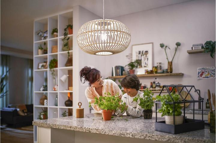 Immagine prodotto Philips LED classico (E27, 2.30 W, 485 lm, 1 x, A)