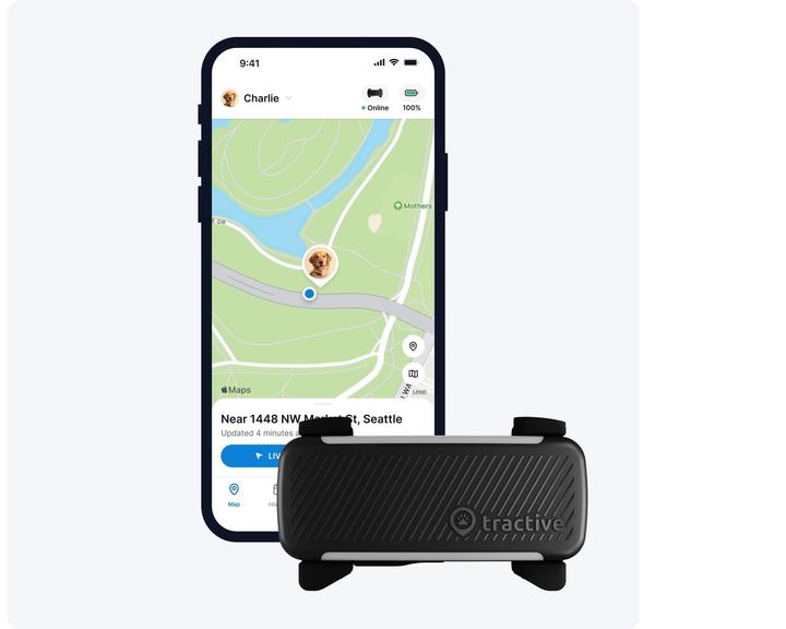 Immagine prodotto Tractive GPS Tracker Dog 6 (Cane, Passeggiare)
