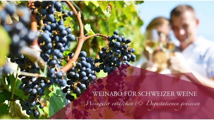 Actual product image Gift certificate, wine subscription gift (1 pers.)