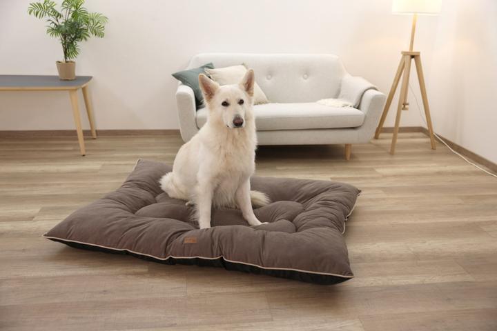 Produktbild Kerbl Liegekissen Benno (Hund)