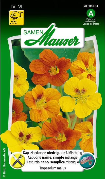 Actual product image Samen Mauser Nasturtium simple mixture (Herb seeds)