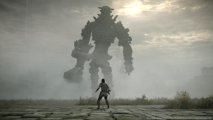 Actual product image Sony Interactive Entertainment Shadow of the Colossus PlayStation 4 (PS4, DE)