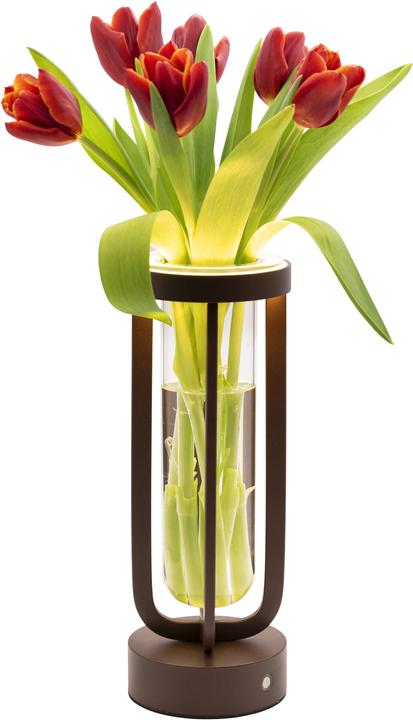 Image du produit Securit Lampe de table FLORENCE (50 lm)