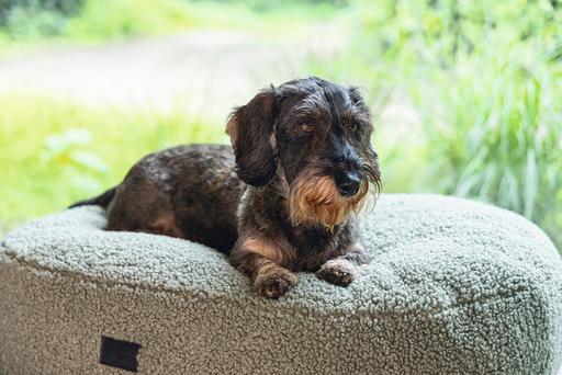 Actual product image Designed by Lotte Ribbed (Dog)