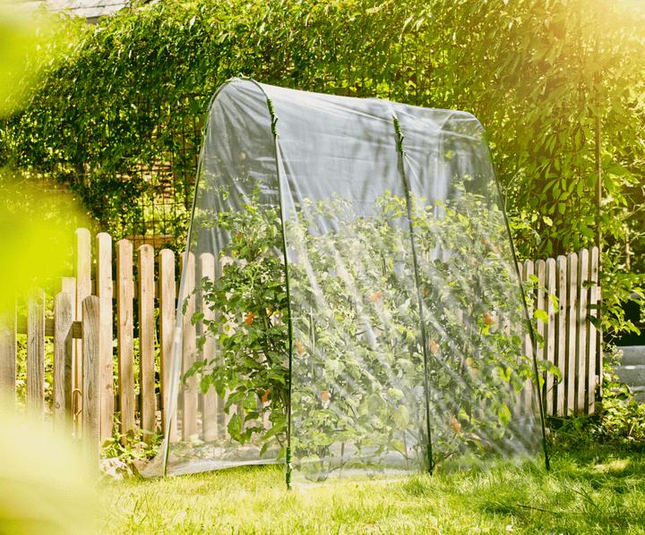Actual product image Windhager Tomatoes foil tunnel set