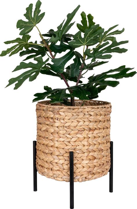 Produktbild House Nordic Antas (26.50 cm)