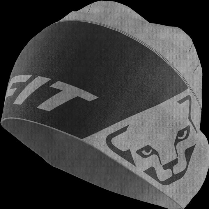 Actual product image Dynafit Upcycled Speed Polartec Beanie (58)