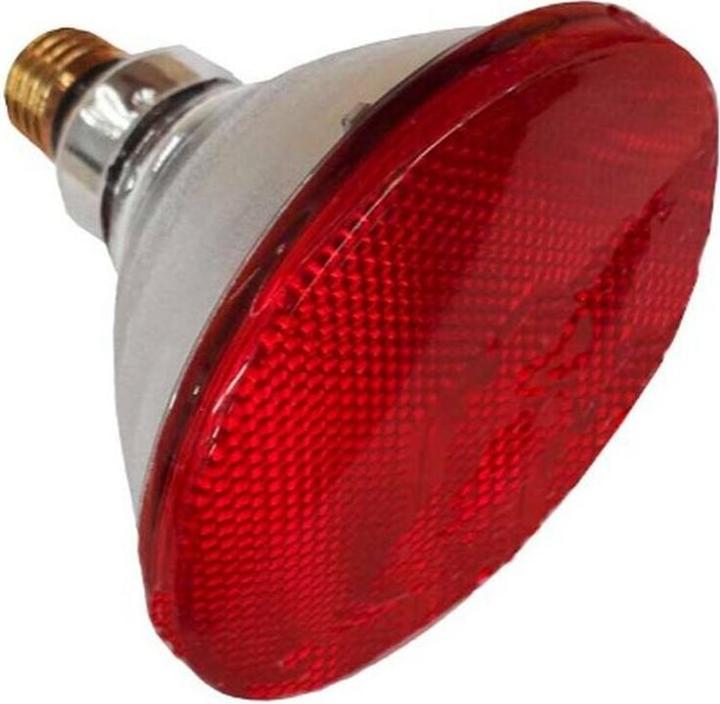 Image du produit Philips Chauffage infrarouge 100W InfraRed PAR-38IR rouge (100 W)
